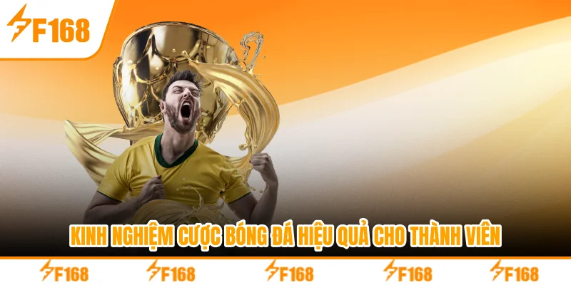 Kinh nghiệm cược bóng đá hiệu quả cho thành viên